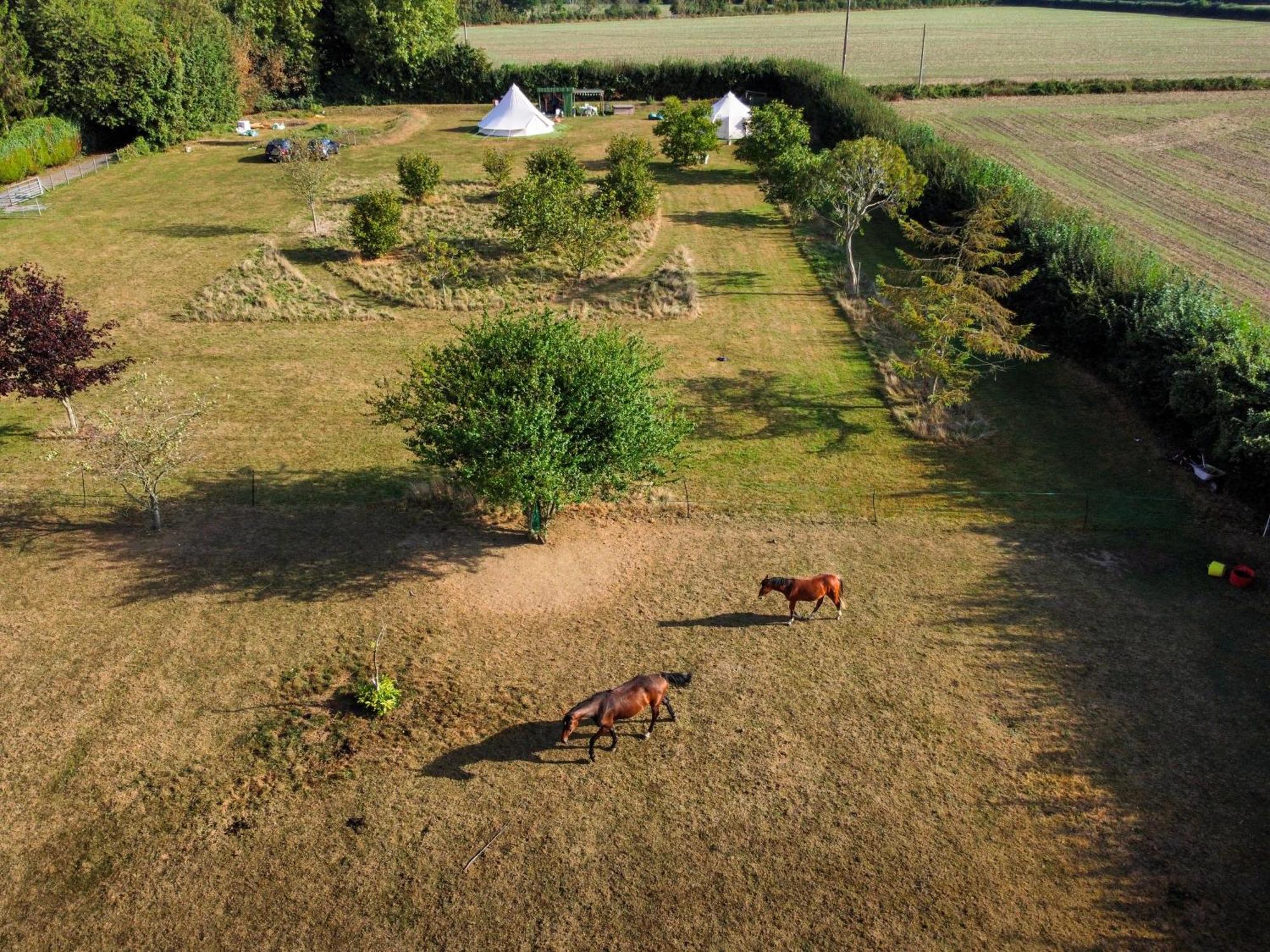 Hotel The Follies Glamping Maidstone Exterior foto